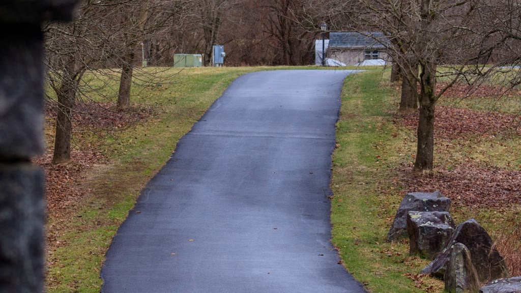 A freshly sealed black asphalt driveway between bare trees